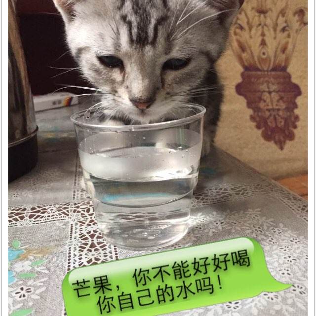 哪里能买到韩国韩瑞大学学位证